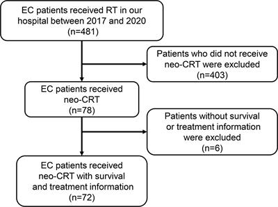 Gross Tumor Volume Predicts Survival and Pathological Complete Response of Locally Advanced Esophageal Cancer After Neoadjuvant Chemoradiotherapy